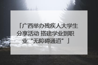 广西举办残疾人大学生分享活动 搭建学业到职业“无障碍通道”