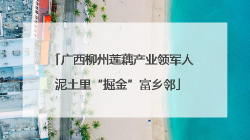 广西柳州莲藕产业领军人泥土里“掘金”富乡邻