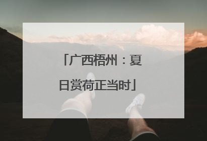 广西梧州：夏日赏荷正当时