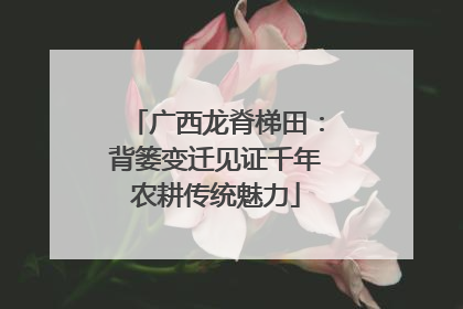 广西龙脊梯田：背篓变迁见证千年农耕传统魅力