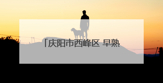 庆阳市西峰区 早熟红杏“云”端飘香