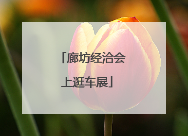 廊坊经洽会上逛车展