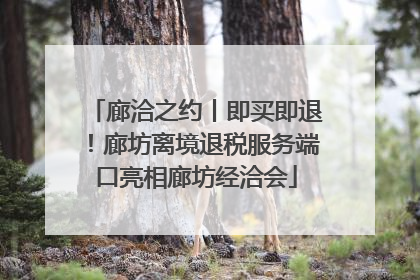 廊洽之约丨即买即退！廊坊离境退税服务端口亮相廊坊经洽会