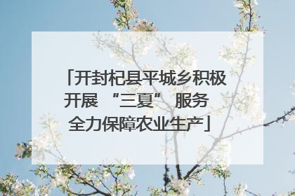 开封杞县平城乡积极开展 “三夏” 服务 全力保障农业生产