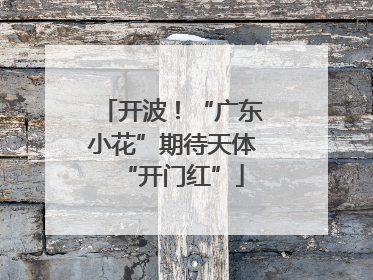 开波！“广东小花”期待天体“开门红”