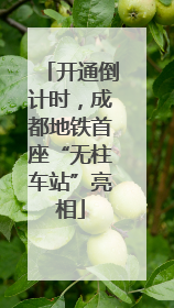 开通倒计时，成都地铁首座“无柱车站”亮相