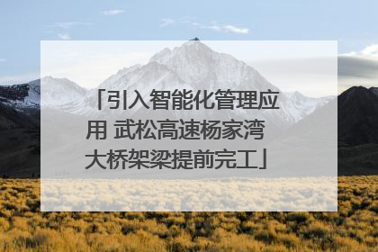 引入智能化管理应用 武松高速杨家湾大桥架梁提前完工