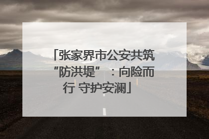 张家界市公安共筑“防洪堤”：向险而行 守护安澜