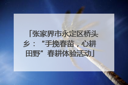 张家界市永定区桥头乡：“手挽春苗，心耕田野”春耕体验活动
