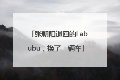 张朝阳退回的Labubu，换了一辆车