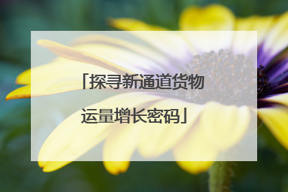 探寻新通道货物运量增长密码