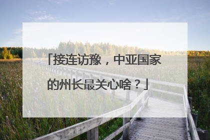 接连访豫，中亚国家的州长最关心啥？