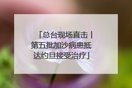 总台现场直击丨第五批加沙病患抵达约旦接受治疗