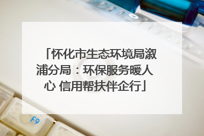 怀化市生态环境局溆浦分局：环保服务暖人心 信用帮扶伴企行