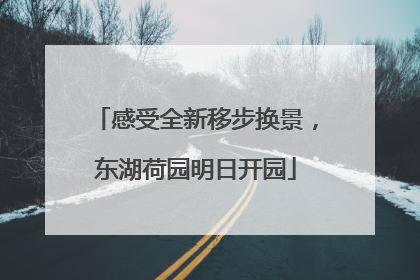 感受全新移步换景，东湖荷园明日开园