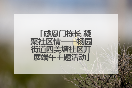 感恩门栋长 凝聚社区情——杨园街道四美塘社区开展端午主题活动
