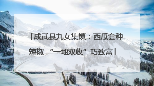 成武县九女集镇：西瓜套种辣椒 “一地双收”巧致富