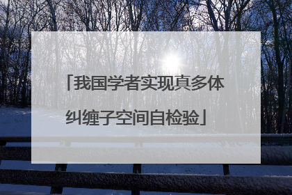 我国学者实现真多体纠缠子空间自检验