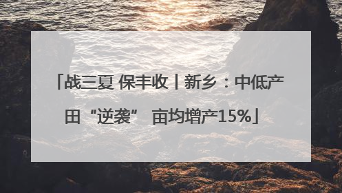 战三夏 保丰收丨新乡：中低产田“逆袭” 亩均增产15%