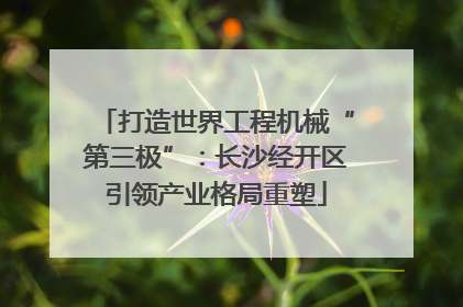 打造世界工程机械“第三极”：长沙经开区引领产业格局重塑