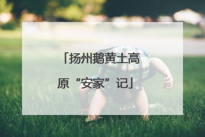 扬州鹅黄土高原“安家”记