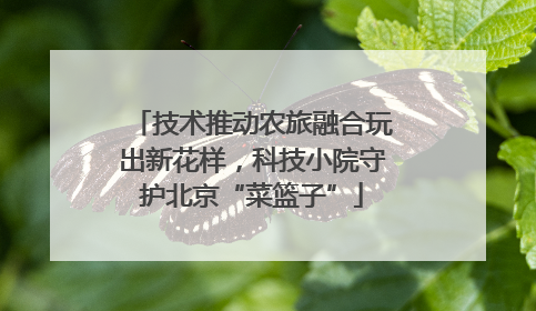 技术推动农旅融合玩出新花样，科技小院守护北京“菜篮子”