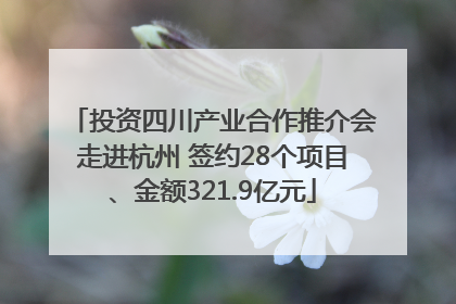 投资四川产业合作推介会走进杭州 签约28个项目、金额321.9亿元