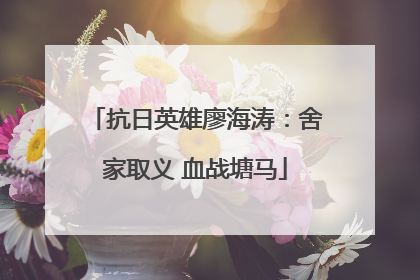 抗日英雄廖海涛：舍家取义 血战塘马