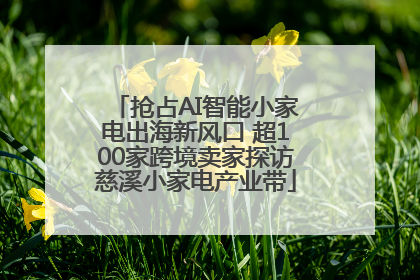 抢占AI智能小家电出海新风口 超100家跨境卖家探访慈溪小家电产业带