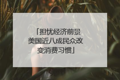 担忧经济前景 美国近八成民众改变消费习惯