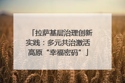拉萨基层治理创新实践：多元共治激活高原“幸福密码”