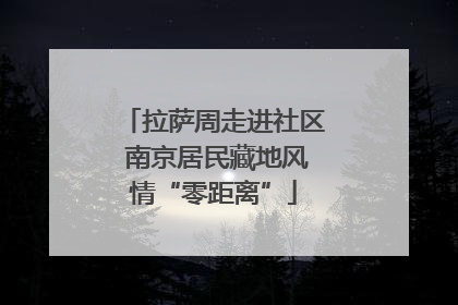 拉萨周走进社区 南京居民藏地风情“零距离”