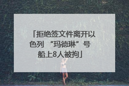 拒绝签文件离开以色列 “玛德琳”号船上8人被拘
