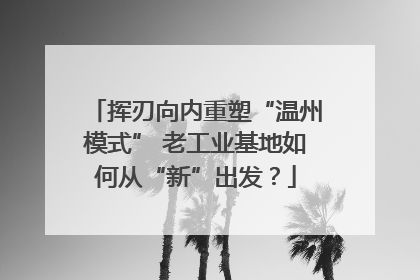 挥刃向内重塑“温州模式” 老工业基地如何从“新”出发？