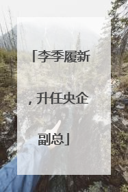 李季履新，升任央企副总