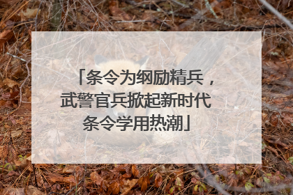 条令为纲励精兵，武警官兵掀起新时代条令学用热潮