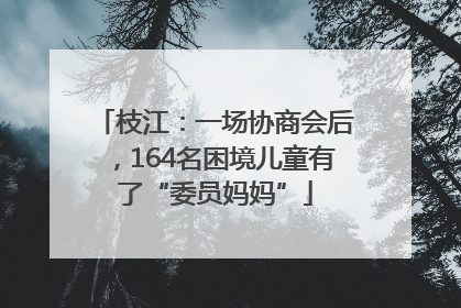 枝江：一场协商会后，164名困境儿童有了“委员妈妈”