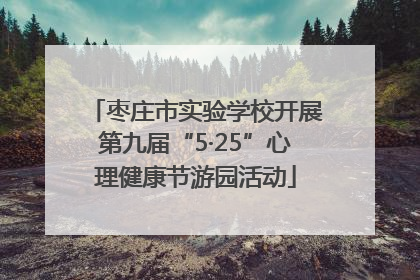 枣庄市实验学校开展第九届“5·25”心理健康节游园活动