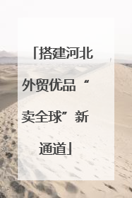 搭建河北外贸优品“卖全球”新通道