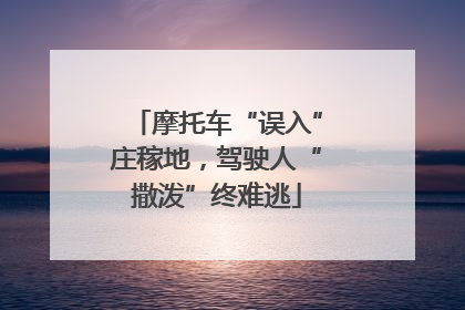 摩托车“误入”庄稼地，驾驶人“撒泼”终难逃