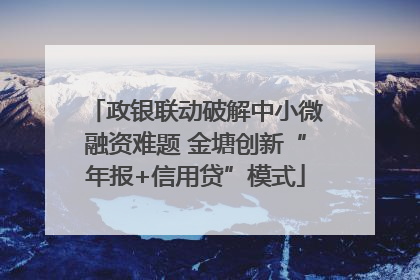 政银联动破解中小微融资难题 金塘创新“年报+信用贷”模式