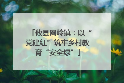 攸县网岭镇：以“党建红”筑牢乡村教育“安全绿”