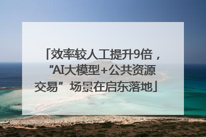 效率较人工提升9倍，“AI大模型+公共资源交易”场景在启东落地