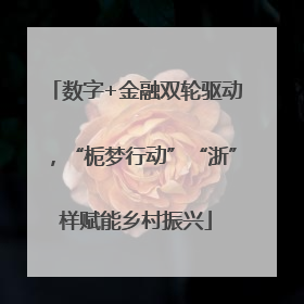 数字+金融双轮驱动，“栀梦行动”“浙”样赋能乡村振兴