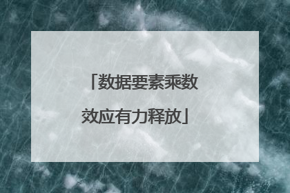 数据要素乘数效应有力释放