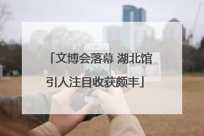 文博会落幕 湖北馆引人注目收获颇丰