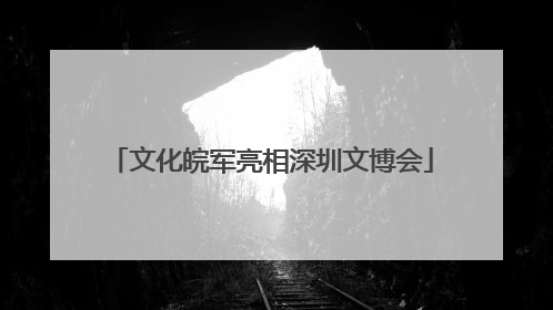 文化皖军亮相深圳文博会