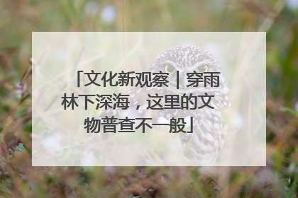 文化新观察｜穿雨林下深海，这里的文物普查不一般