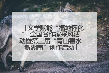 文学赋能“福地怀化” 全国名作家采风活动暨第三届“青山碧水新湖南”创作启动