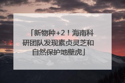 新物种+2！海南科研团队发现素贞灵芝和自然保护地壁虎